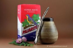 CZYM JEST YERBA MATE?' Blog